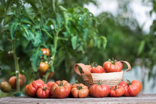 Vegetables, tomatoes on wooden desk