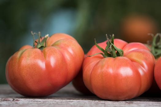 Vegetables, Tomatoes,  on desk in garden
