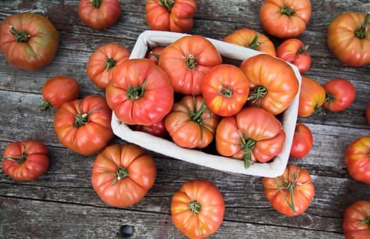 Vegetables, Tomatoes,  on desk in garden