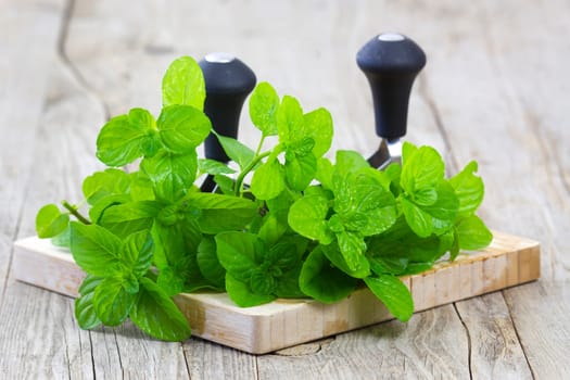 mint leaves and knife on wooden background