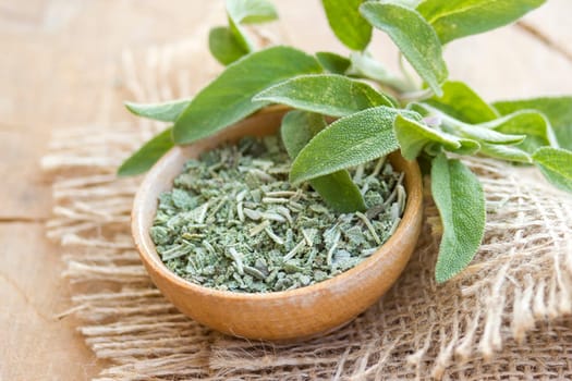 fresh and dried sage