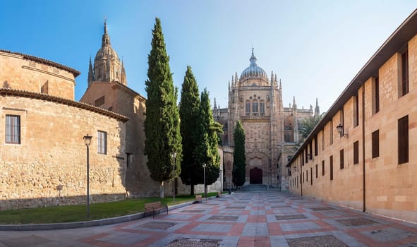 Photo detail of part of the Salamanca catedral in Spain.
