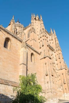 Photo detail of part of the Salamanca catedral in Spain.