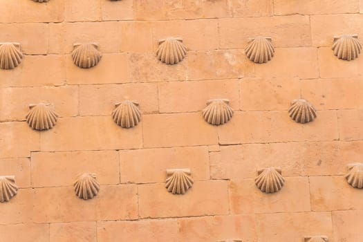 One of the facades of the Casa de las Conchas building in Salamanca (Spain).