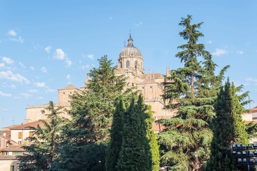 Photo detail of part of the Salamanca catedral in Spain.