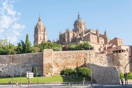 Photo detail of part of the Salamanca catedral in Spain.