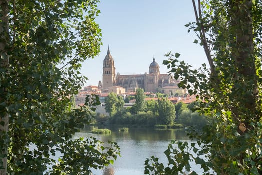 Tormes river and Cathedral of the city of Salamanca in Spain