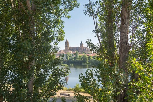 Tormes river and Cathedral of the city of Salamanca in Spain.