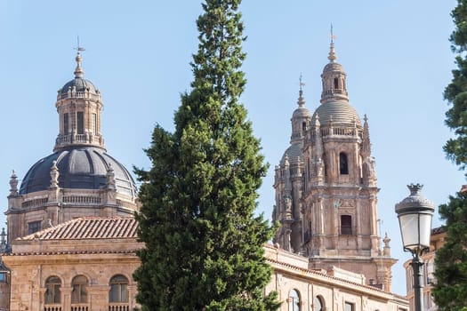 Photo detail of part of the Salamanca catedral in Spain.