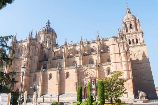 Photo detail of part of the Salamanca catedral in Spain.