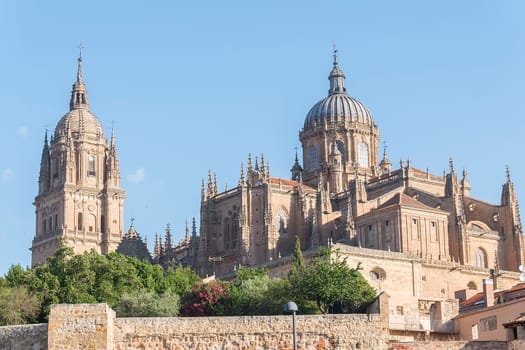 Photo detail of part of the Salamanca catedral in Spain.