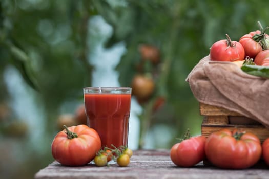 Fresh tomato juice, on a wooden background