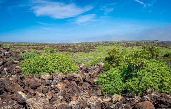View on the volcanic landscape of northern Lanzarote, one of the Canary Islands of Spain