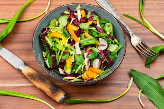 Green salad with vegetables and bear leek or wild garlic. Healthy spring plants food