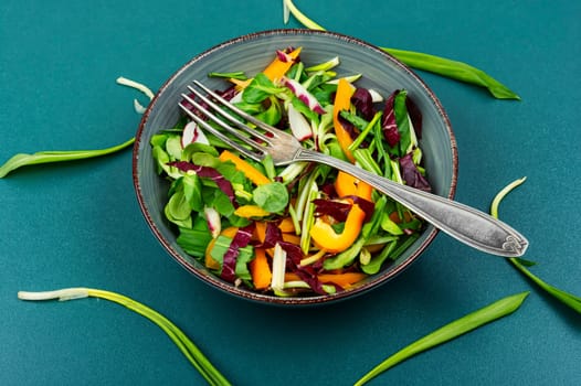 Green salad with vegetables and bear leek or wild garlic. Healthy spring plants food
