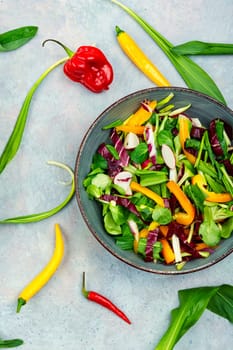 Green salad with vegetables and bear leek or wild garlic. Healthy spring plants food
