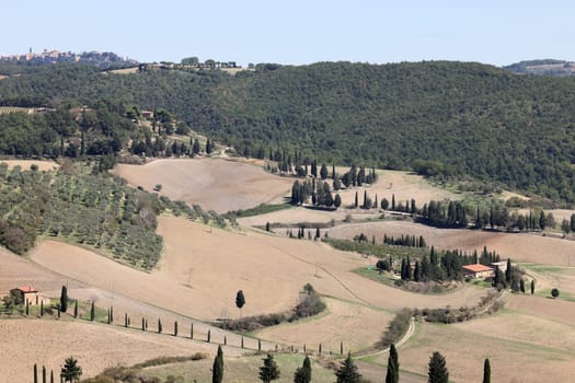 The rural landscape near Pienza in Tuscany. Italy