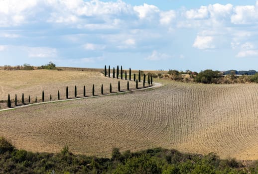 The rural landscape near Pienza in Tuscany. Italy