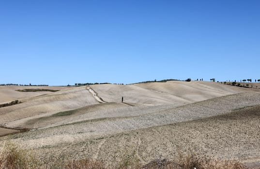 The rural landscape near San Quirico in Tuscany. Italy