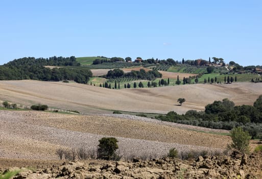 The rural landscape near Pienza in Tuscany. Italy