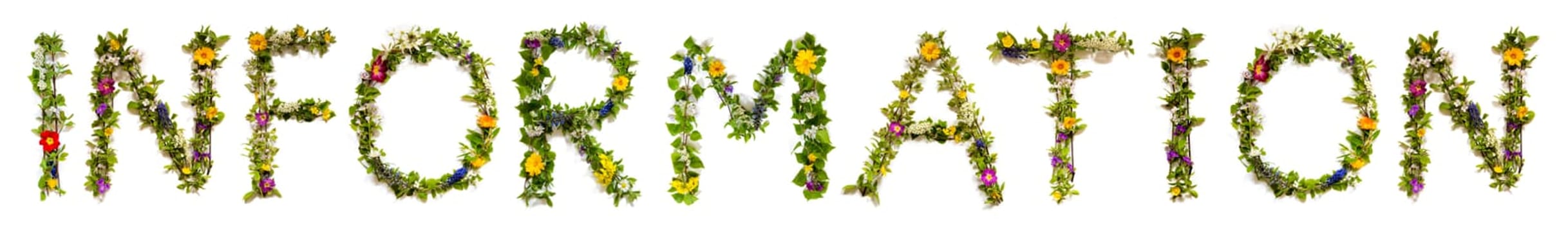 Blooming Flower Letters Building English Word Information. Colorful Spring and Summer Blossoms. White Isolated Background.