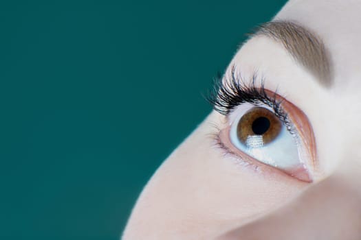 Close-up of brown eye with long eyelashes, black eyeliner, healthy skin, perfect eyebrow of unrecognizable young woman looking up on green background. Macro. Eyelash extension, cosmetology, make-up.