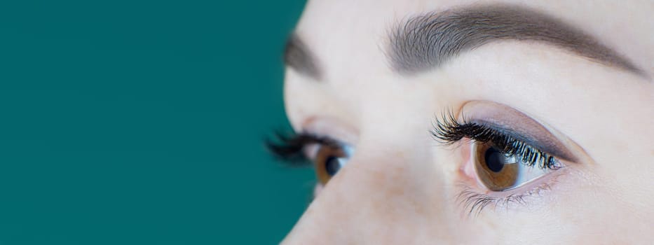 Close-up of brown eyes with long false eyelashes, ideal black eyeliner, flawless eyebrows of unrecognizable young woman on green background. Macro shot. Beauty procedures, cosmetology, advertisement.