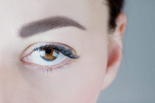 Close-up of brown eye with false eyelashes, black eyeliner, perfect skin, eyebrow of unrecognizable young woman on grey background. Macro. Eyelash extension, beauty procedures, cosmetology, make-up.