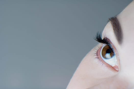 Close-up of brown eye with long false eyelashes, ideal skin, flawless eyebrow of unrecognizable young woman on grey background. Macro shot. Eyelash extension, beauty procedures, cosmetics, make-up.