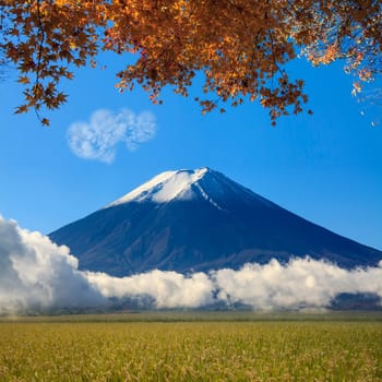 Image of sacred mountain of Fuji in the background at Japan for adv or others purpose use