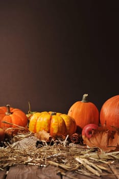 Halloween - many different pumpkins on straw against brown background with text space