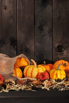 Thanksgiving - various pumpkins in jute sack on straw with text space against a brown background