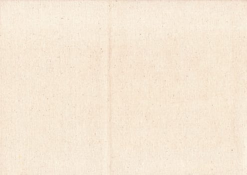 white texture like fabric. Textured background. Patterned texture. Textured background. Uniform texture. Patterned background. White fabric surface