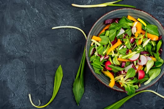 Green salad with vegetables and green bear leek or wild garlic leaves . Close up
