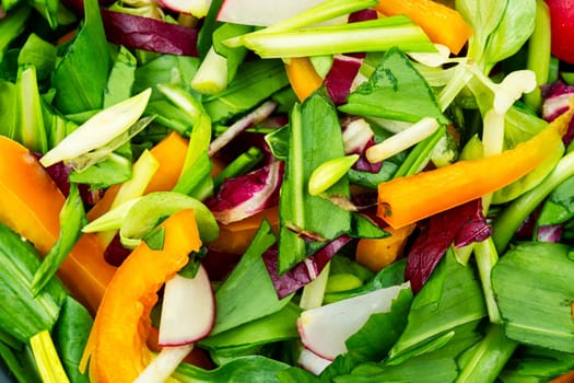 Green salad with vegetables and green bear leek or wild garlic leaves . Close up