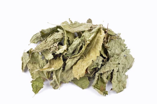 Dried lemon balm leaves on white background