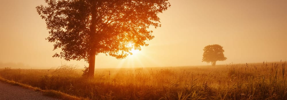 Sunrise on field in the foggy morning. Tranquil scene in natural park.