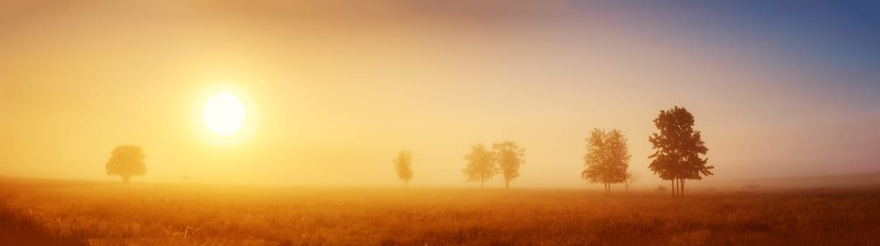 Sunrise on field in the foggy morning. Tranquil scene in natural park.