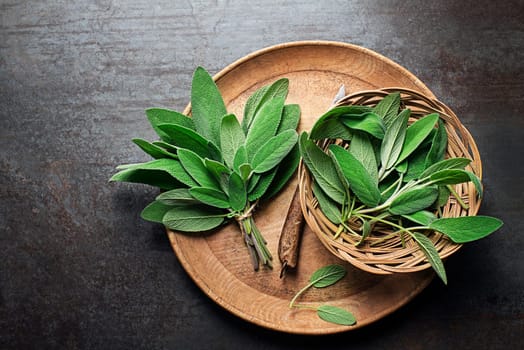 Sage leaves in plate. Freshly picked sage leaves from the home garden. Medicinal herbs.