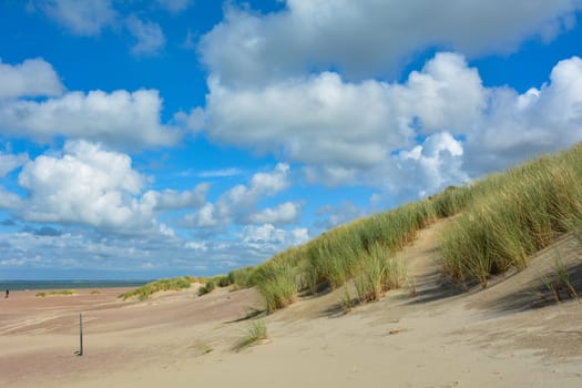 Sea and sand dunes on the North Sea coast in the Netherlands on the island of Schouwen-Duiveland
