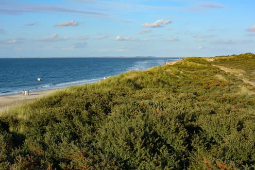 Sea and sand dunes on the North Sea coast in the Netherlands on the island of Schouwen-Duiveland