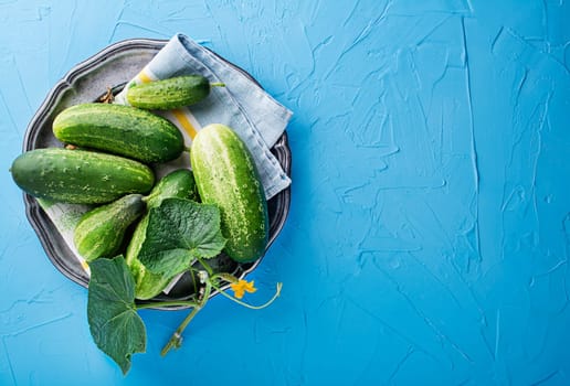 Freshly picked cucumbers from the garden. Cucumbers harvest in summer. Summer vegetables.