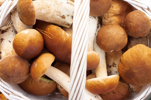 White wicker basket with boletus mushrooms. Top view.