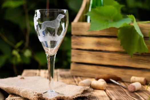 Wine glass with a sandblasted dog with a box for wine and a vine against a background of greenery, copy space