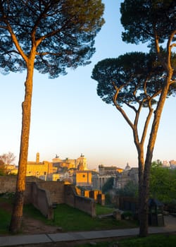 Roman Forum ruins, Rome, Italy. Aerial vertical view of famous tourist attraction