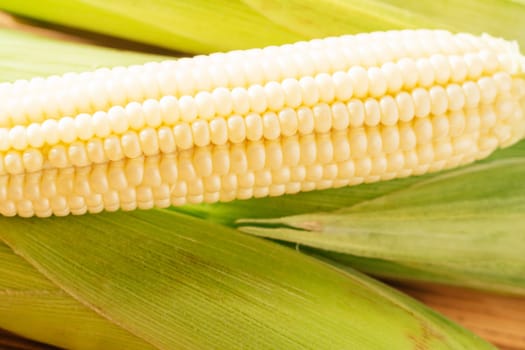 One sweet yellow raw milk corn ear cobs maize with white granule green fresh ingredient product. Lie on wooden background table. Green juicy leafy streaks. Side cooking preparing dish. Close up