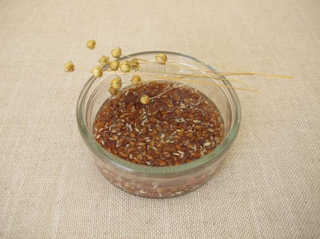 Brown flax seeds soaked in water