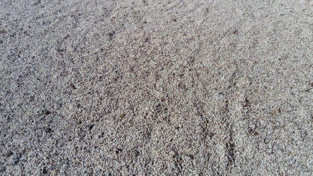 White small pebbles or decorative gravel. Natural daylight. The texture of the stone with a rough surface. Pebble beach.