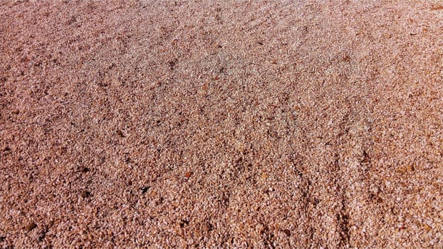 Red small pebbles or decorative gravel. Natural daylight. The texture of the stone with a rough surface. Pebble beach.