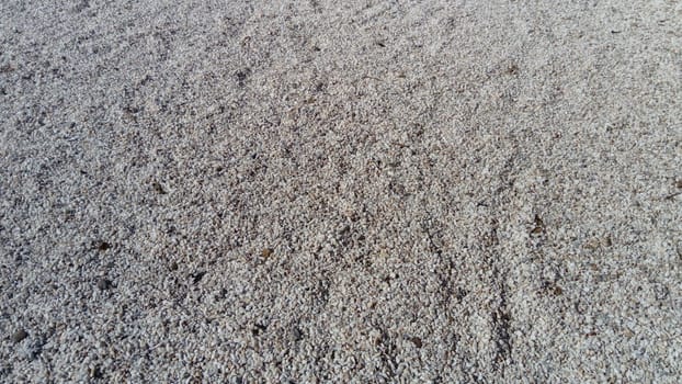 White small pebbles or decorative gravel. Natural daylight. The texture of the stone with a rough surface. Pebble beach.